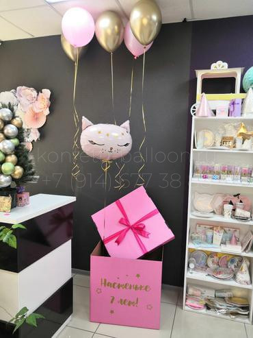 Коробка сюрприз с гелиевыми шарами и кошечкой на 7 лет