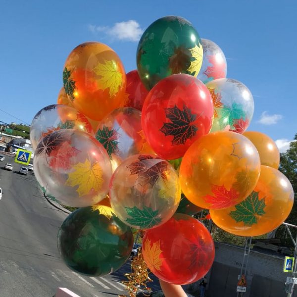 Шары гелиевые на 1 сентября с кленовыми листочками