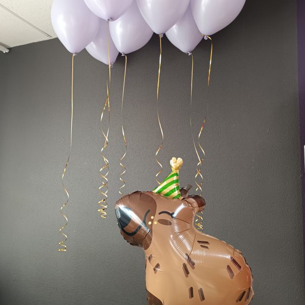 Композиция из гелиевых шаров с шаром Капибара