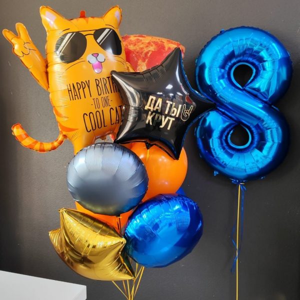 Композиция из гелиевых шаров с котом для мальчика