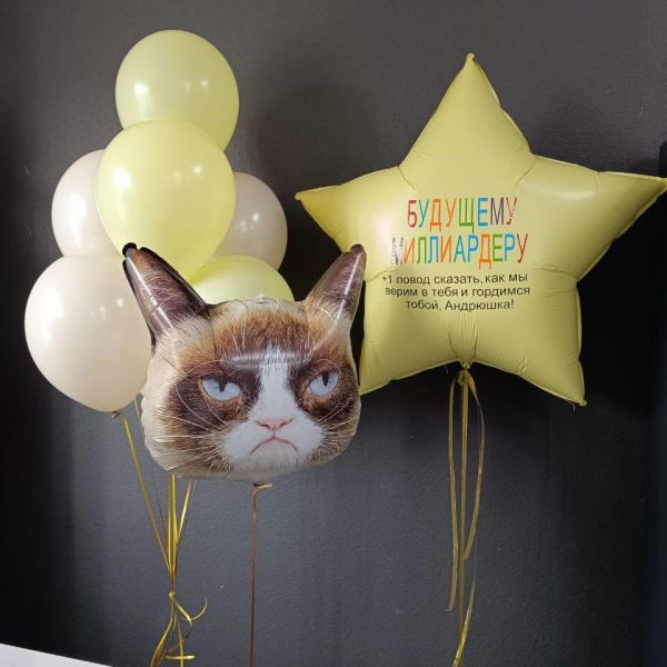 Композиция из гелиевых шаров с сердитым котом
