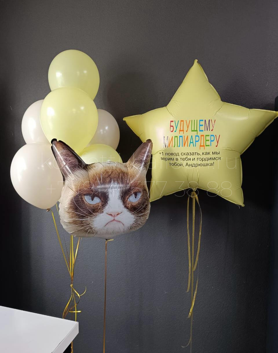 Композиция из гелиевых шаров с сердитым котом