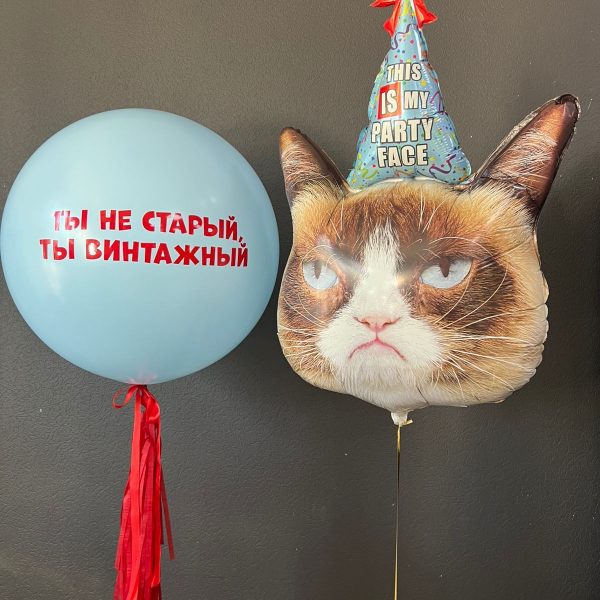 Композиция из гелиевых шаров с котом для мужчины
