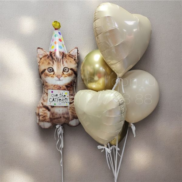 Композиция из гелиевых шаров с котиком для девочки