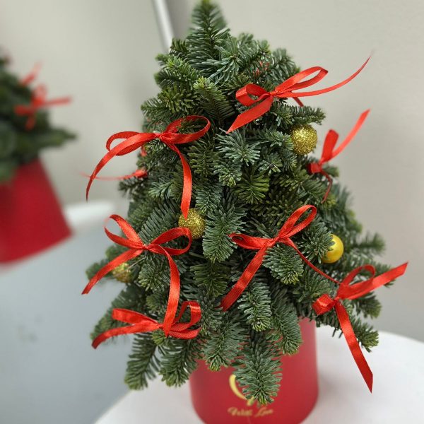 Мини бокс с пихтой Ёлочка в красном цвете