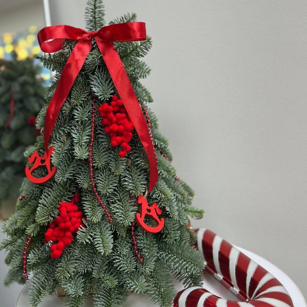 Средний бокс с пихтой Ёлочка в красном цвете