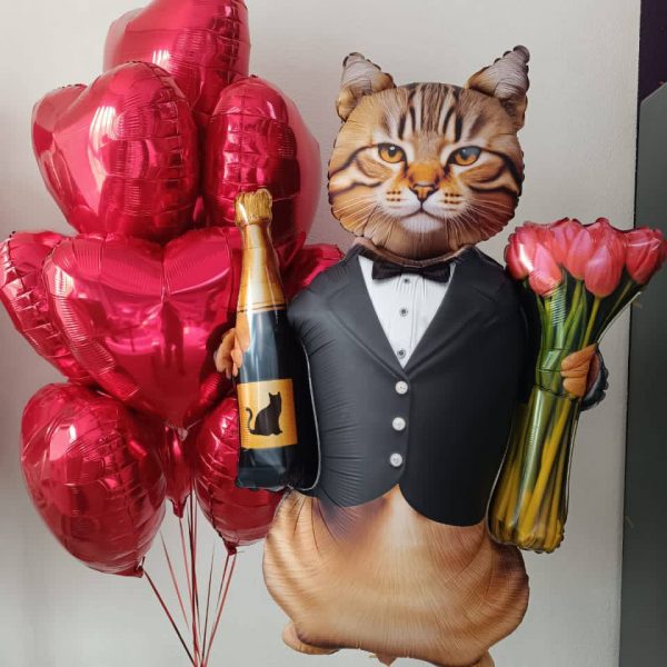 Композиция из гелиевых фольгированных шаров с котом